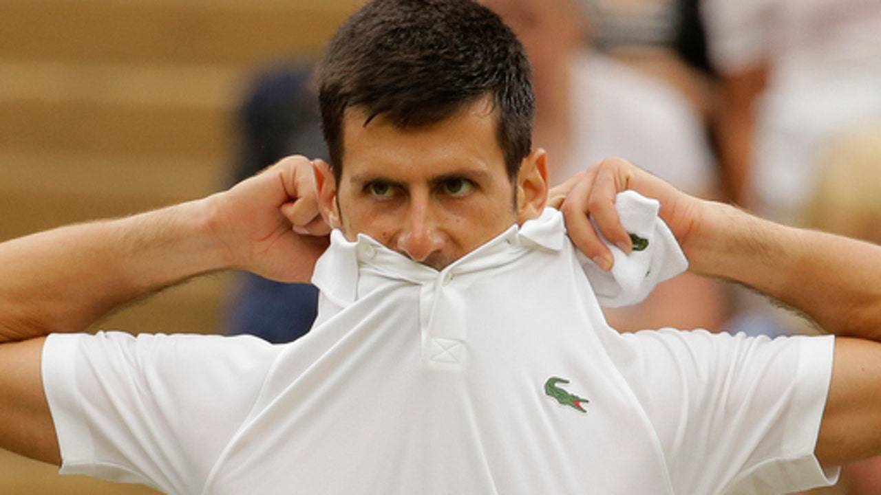 Djokovic reaches Wimbledon quarters with injured shoulder